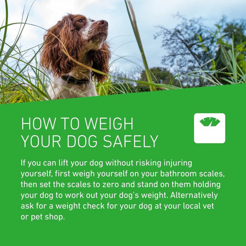 FRONTLINE PLUS Spot-On Flea and Tick Treatment for Large Dogs (20kg-40kg)